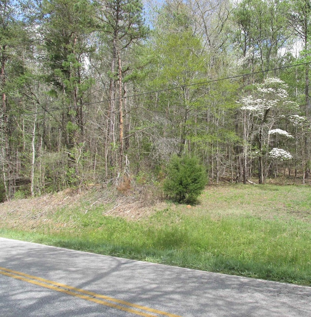 Listing photo 3 for 0 White Plains Rd, Gaffney SC 29340