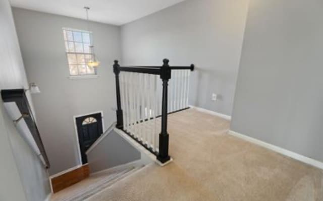 stairway featuring carpet