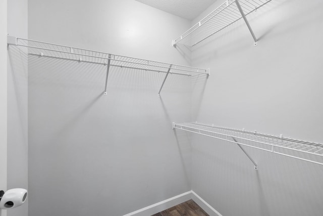 walk in closet featuring hardwood / wood-style flooring