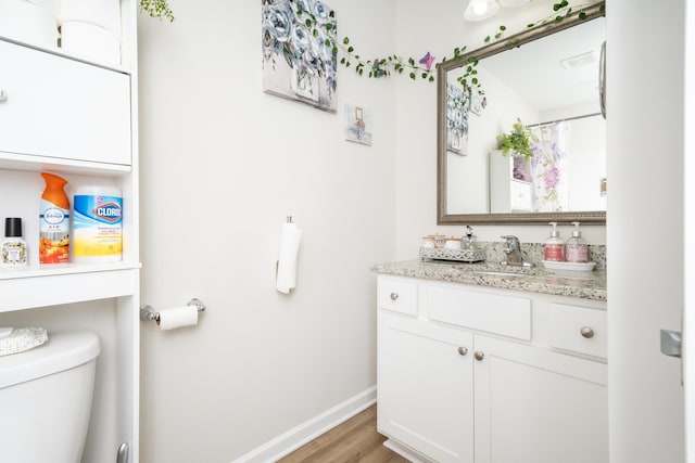 bathroom featuring toilet, vanity, and wood-type flooring