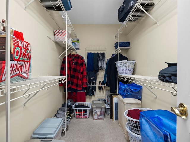 spacious closet with carpet