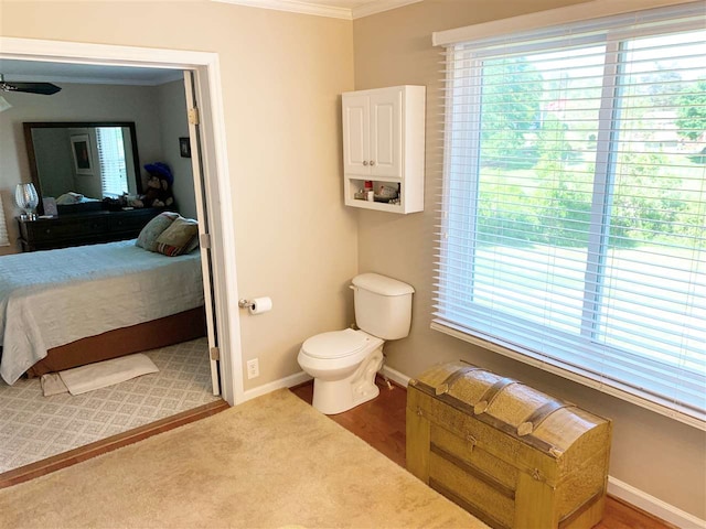 bathroom featuring toilet, a wealth of natural light, crown molding, and ceiling fan