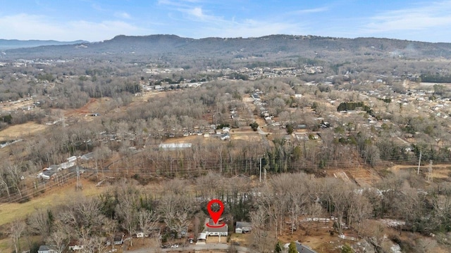 drone / aerial view featuring a mountain view