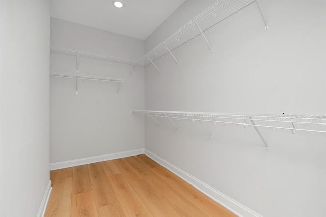 spacious closet featuring wood-type flooring