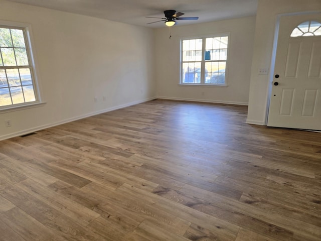 entrance foyer featuring ceiling fan, wood-type flooring, and a wealth of natural light