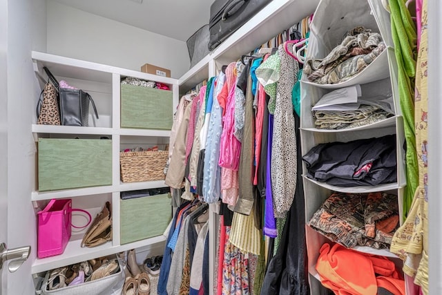 view of spacious closet