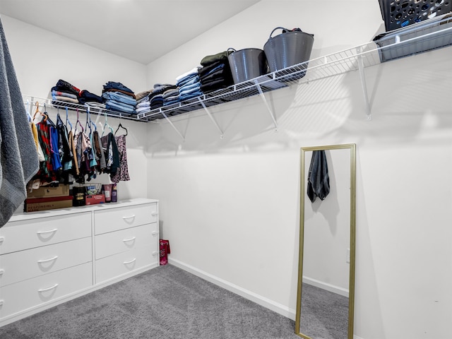 spacious closet with carpet floors