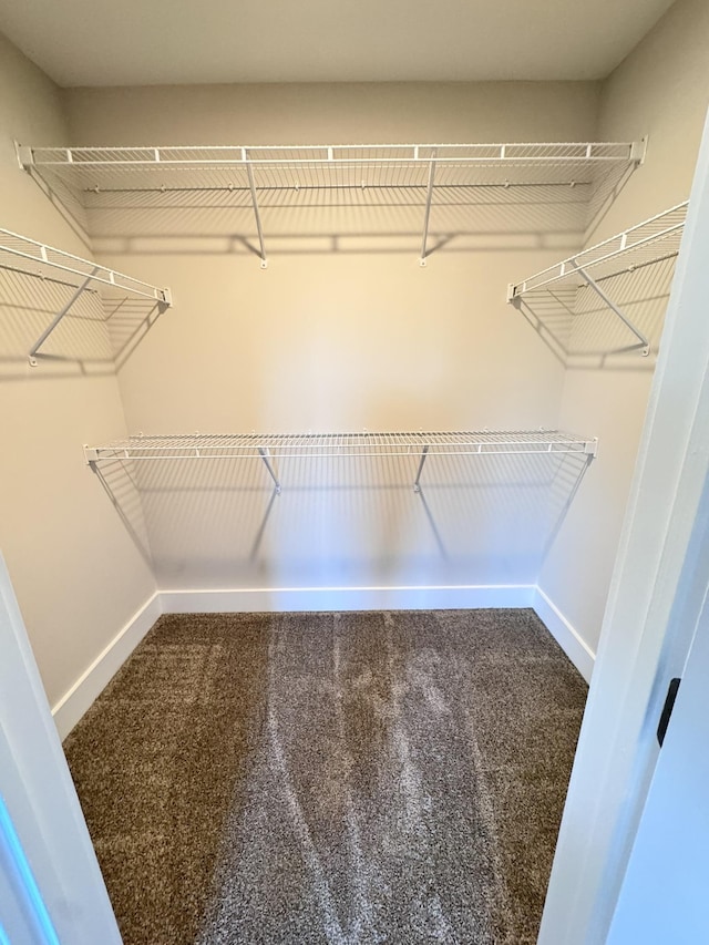 spacious closet with carpet