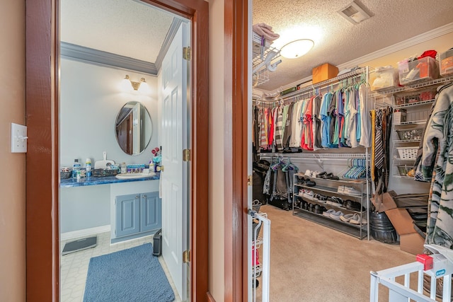 walk in closet featuring sink and carpet flooring