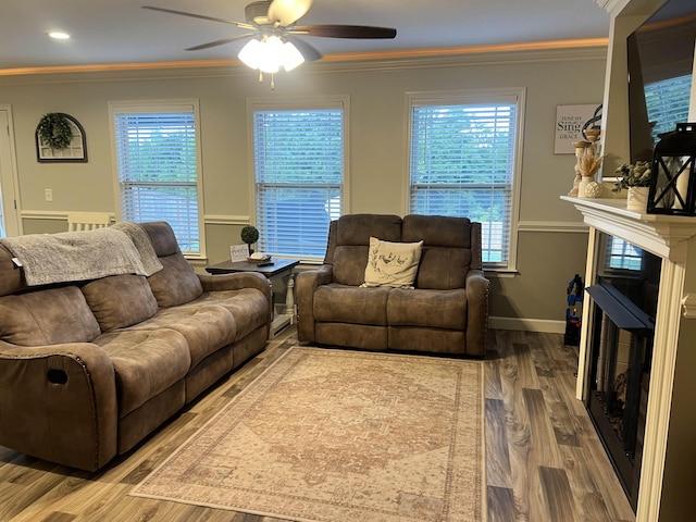 living room featuring ceiling fan, hardwood / wood-style flooring, and crown molding