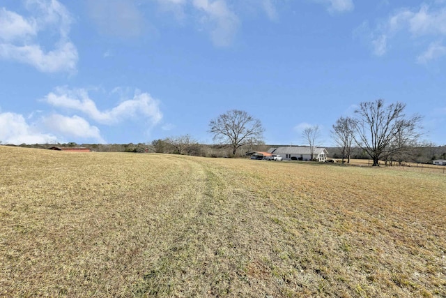 view of yard with a rural view