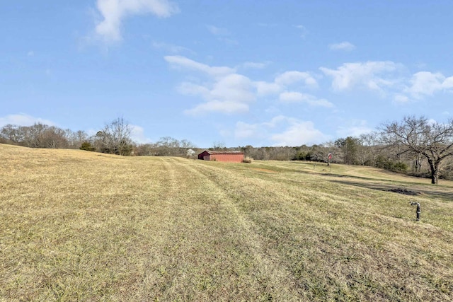 view of yard with a rural view