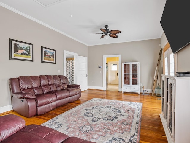 living room with ceiling fan, crown molding, and wood-type flooring