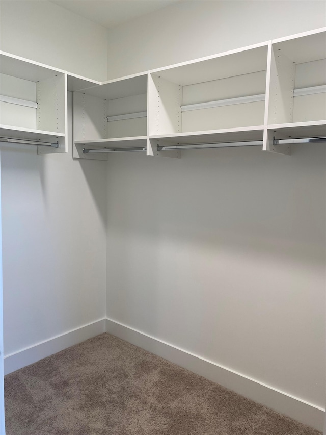 spacious closet with carpet floors