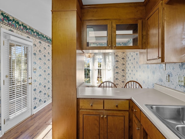 kitchen with sink and light hardwood / wood-style flooring