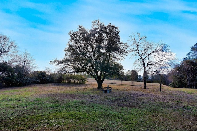 view of yard with a rural view