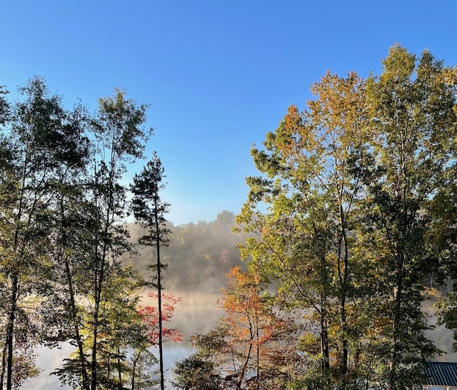 view of landscape