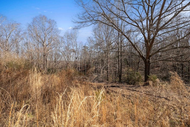 Listing photo 3 for TrackB Highway 11, Inman SC 29349