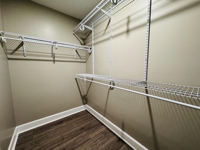 walk in closet with hardwood / wood-style floors