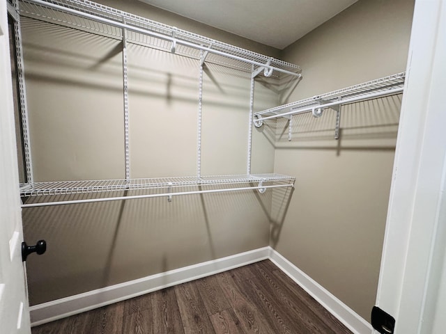 spacious closet featuring wood-type flooring