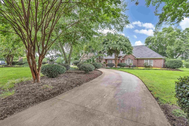 ranch-style home with a front lawn