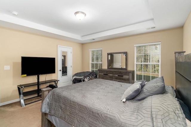 carpeted bedroom featuring a raised ceiling