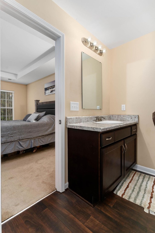 bathroom featuring hardwood / wood-style flooring and vanity