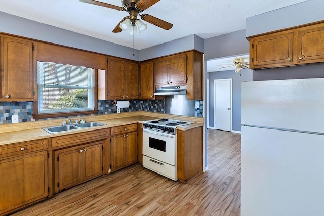 kitchen featuring sink, white appliances, light hardwood / wood-style flooring, and tasteful backsplash