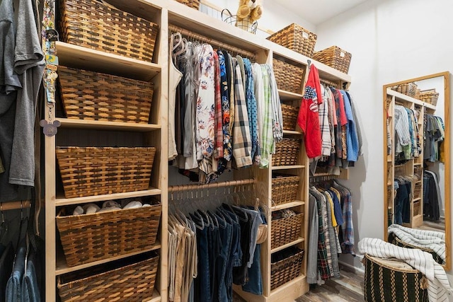 walk in closet with wood-type flooring