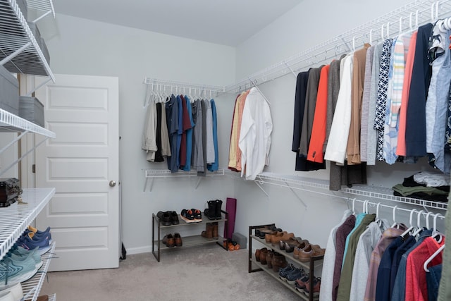 walk in closet featuring light colored carpet