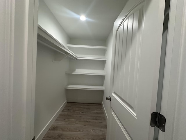 spacious closet with dark hardwood / wood-style floors