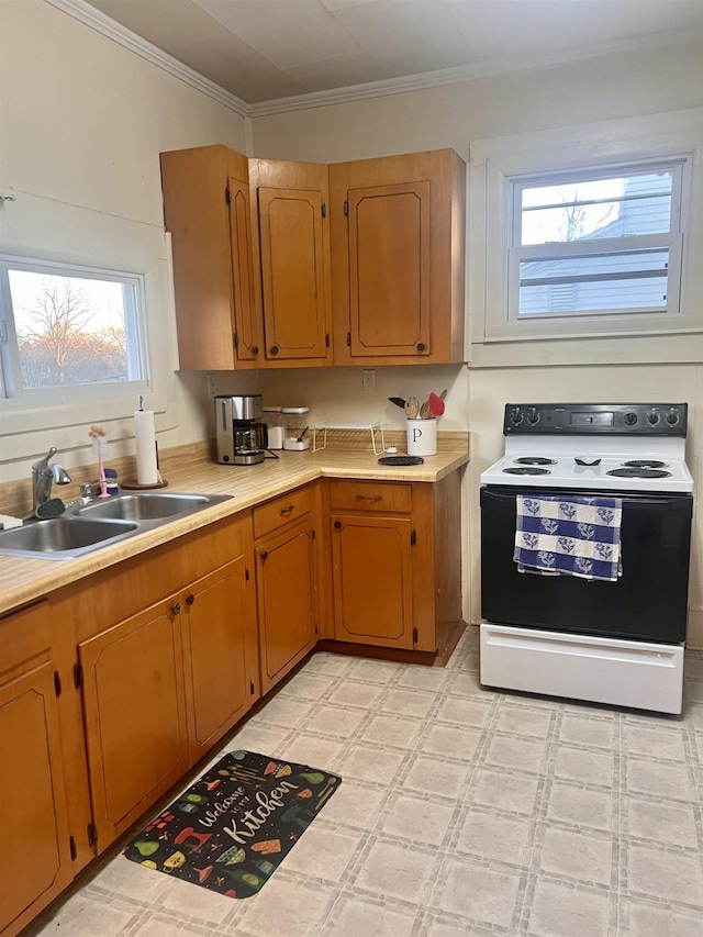 kitchen with sink, white electric range oven, and ornamental molding