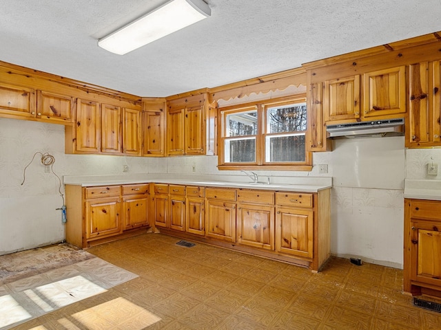 kitchen with sink and a textured ceiling