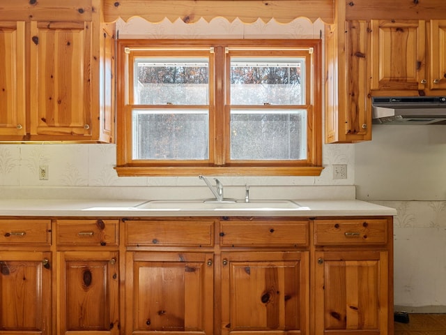 kitchen featuring sink