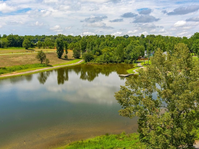 property view of water