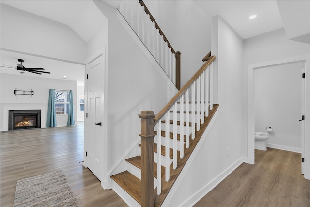 stairs featuring ceiling fan and hardwood / wood-style flooring