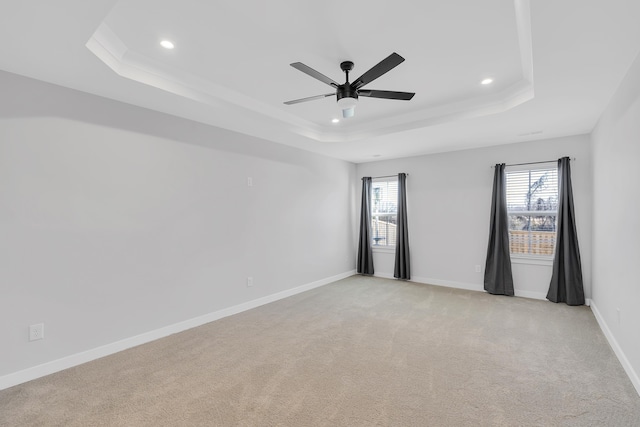 unfurnished room with light carpet, a raised ceiling, and a healthy amount of sunlight