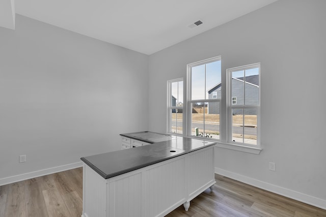 unfurnished office featuring light hardwood / wood-style floors