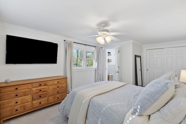 bedroom with ceiling fan, a closet, crown molding, and carpet flooring