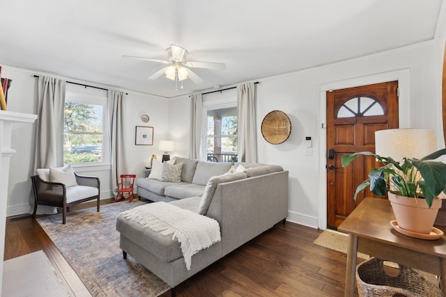 living room featuring ceiling fan and dark hardwood / wood-style floors