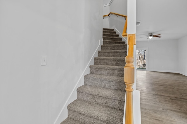 staircase with ceiling fan and hardwood / wood-style floors