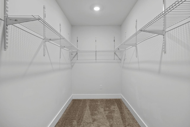 spacious closet with carpet flooring