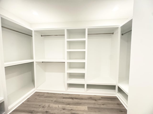 spacious closet with hardwood / wood-style flooring