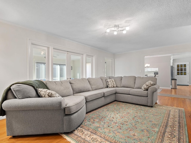 living room with crown molding, a textured ceiling, and light hardwood / wood-style flooring