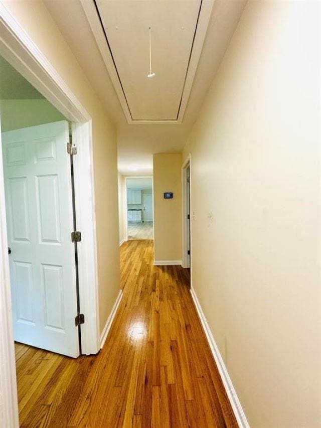 corridor with light wood-type flooring