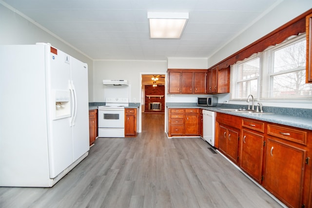 kitchen with ceiling fan, sink, white appliances, light hardwood / wood-style flooring, and ornamental molding