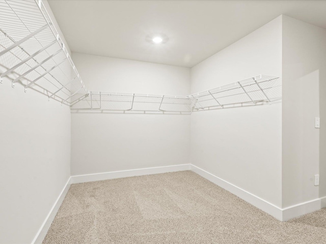 spacious closet featuring carpet flooring