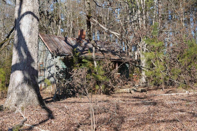 view of local wilderness