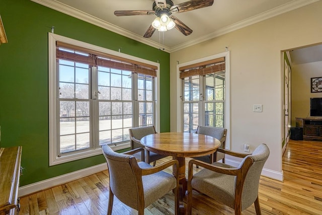 dining room with ceiling fan, ornamental molding, and light wood-type flooring