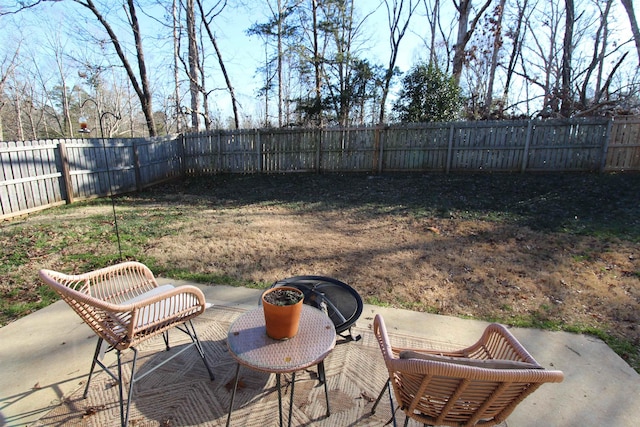 view of yard featuring a patio area